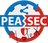 PEASEC Qualifikationsarbeit-Template